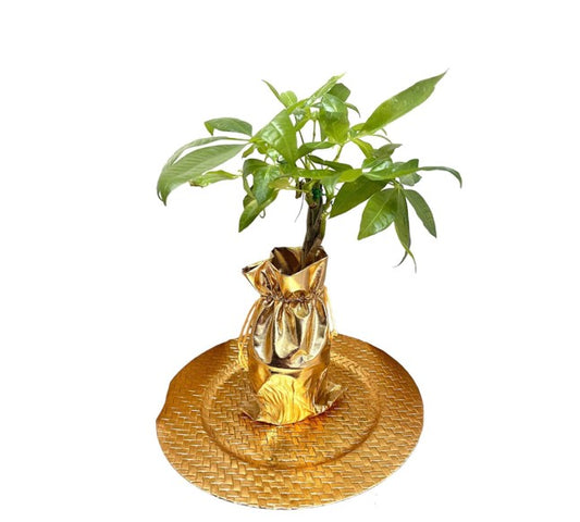 Golden Bag Money Tree - Prosperity and Elegance 